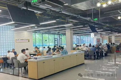 隨州產投集團 深耕城市生活服務,賦能經濟發展