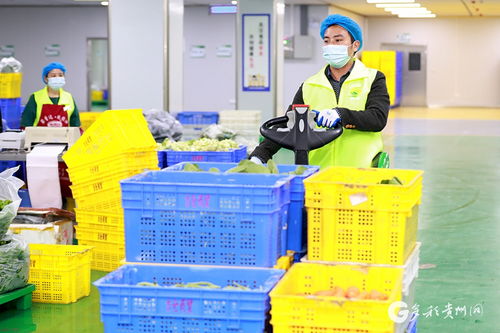 遵義匯川 智慧對(duì)接 農(nóng)產(chǎn)品更暢銷