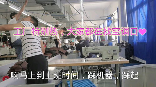 浙江工廠小伙 記錄工廠忙忙碌碌的一天,打工的生活好平淡無奇啊