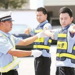 新晚報(bào)微信公眾號(hào) 新晚報(bào)微信二維碼 熱門文章 本地寶