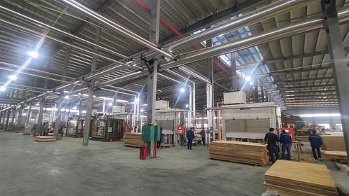 簽約合作 開年開好局,大王椰家具板渠道發力氣勢如虹