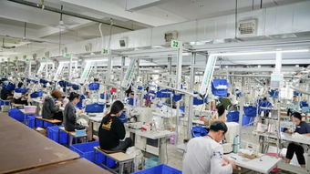 云集 芬騰璀璨之夜,感受品牌力量