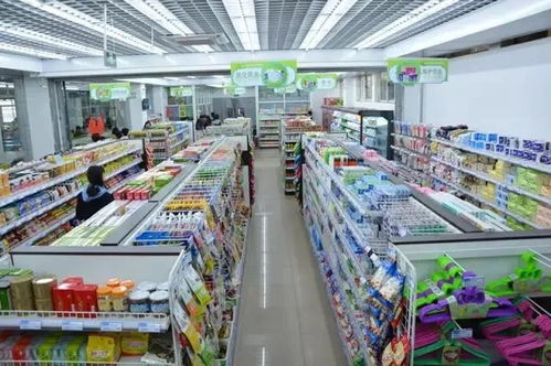 生活服務(wù) 教育超市