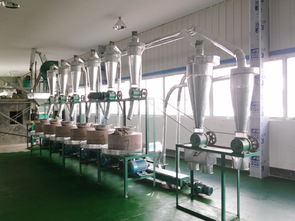 上海玉米加工設(shè)備新出廠價格 加工設(shè)備 玉米加工設(shè)備銷售