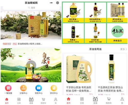 2020茶油行業全新發展商業模式