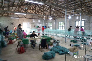 小工廠大作為 助力殘疾人增收致富