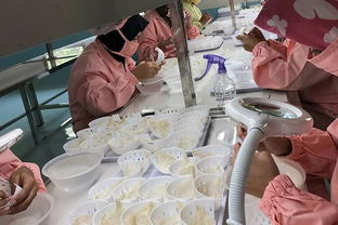 京東啟動史上最大規模選品行動，全球精選質優價實商品與生活服務