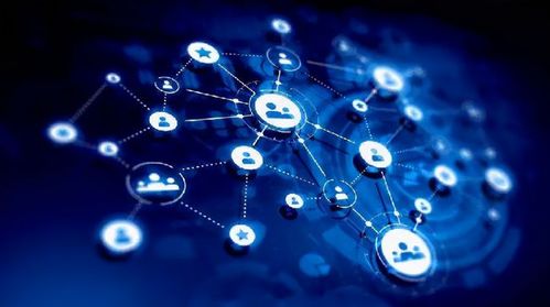 貫魚APP 精準構建私域流量矩陣，助力生活服務商家高效增長